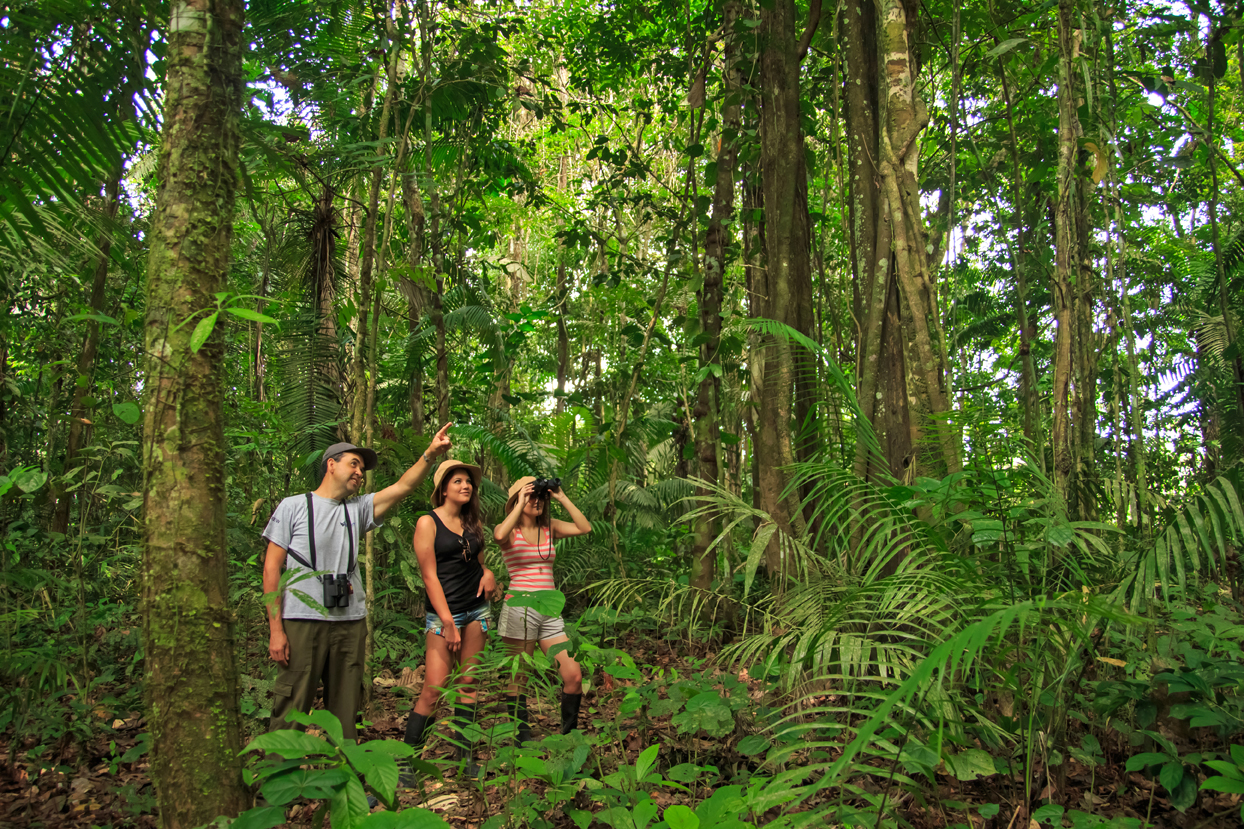 Mae stephens jungle