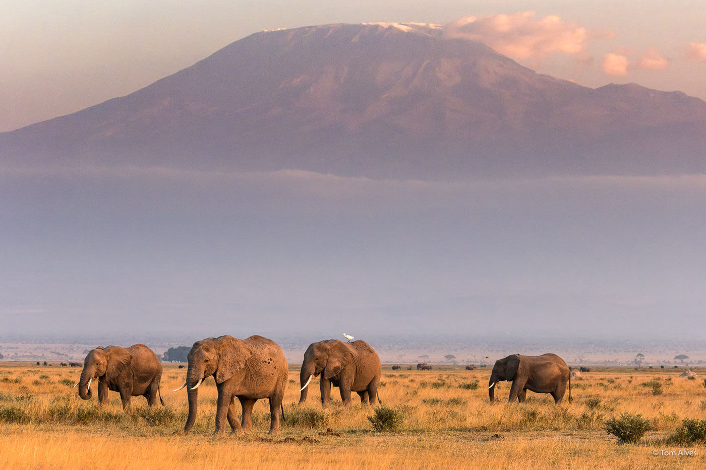 Amboseli Nationalpark